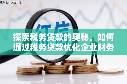 达拉特旗探索税务贷款的奥秘，如何通过税务贷款优化企业财务