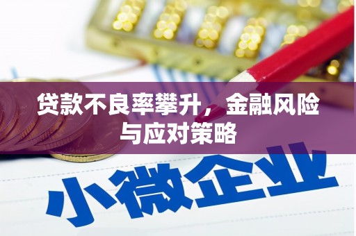 达拉特旗贷款不良率攀升，金融风险与应对策略