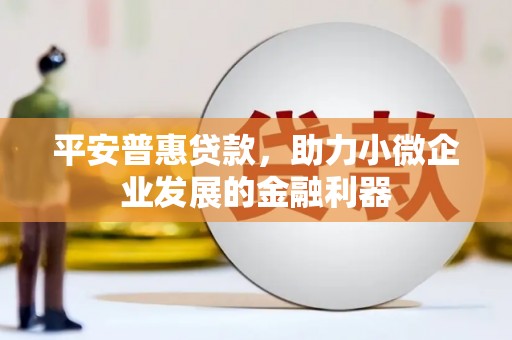 达拉特旗平安普惠贷款，助力小微企业发展的金融利器