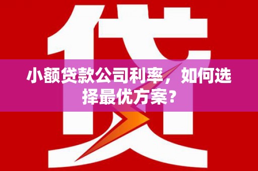 达拉特旗小额贷款公司利率，如何选择最优方案？