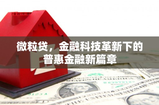 达拉特旗微粒贷，金融科技革新下的普惠金融新篇章