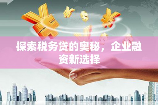 达拉特旗探索税务贷的奥秘，企业融资新选择
