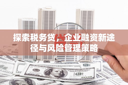 达拉特旗探索税务贷，企业融资新途径与风险管理策略