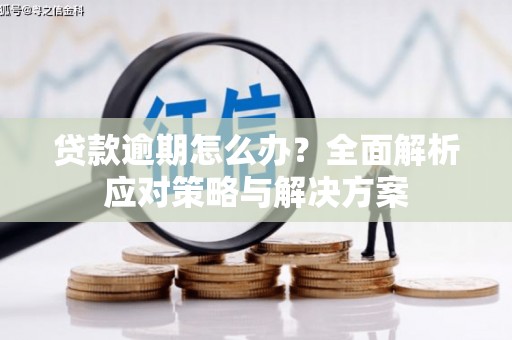 达拉特旗贷款逾期怎么办？全面解析应对策略与解决方案