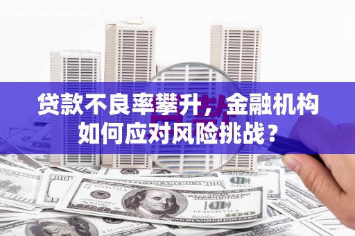 达拉特旗贷款不良率攀升，金融机构如何应对风险挑战？