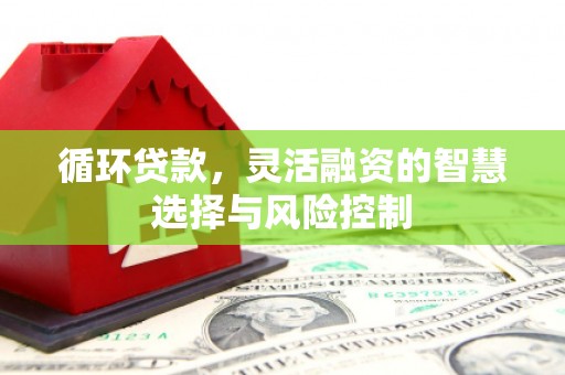 达拉特旗循环贷款，灵活融资的智慧选择与风险控制