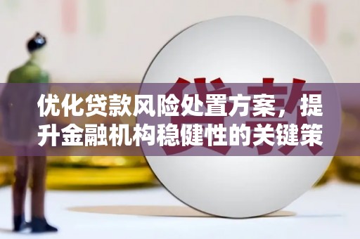达拉特旗优化贷款风险处置方案，提升金融机构稳健性的关键策略