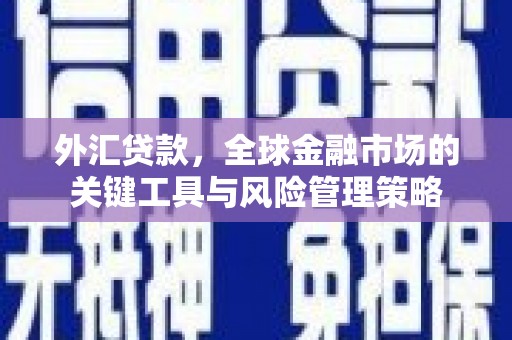 达拉特旗外汇贷款，全球金融市场的关键工具与风险管理策略