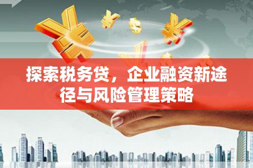 达拉特旗探索税务贷，企业融资新途径与风险管理策略