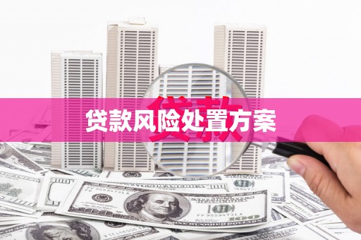 达拉特旗贷款风险处置方案