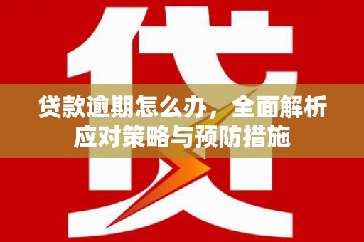 达拉特旗贷款逾期怎么办，全面解析应对策略与预防措施