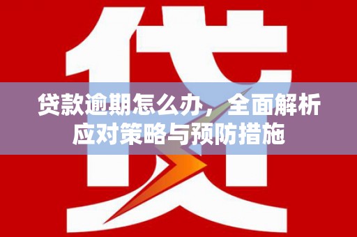 达拉特旗贷款逾期怎么办，全面解析应对策略与预防措施