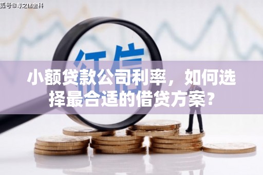 达拉特旗小额贷款公司利率，如何选择最合适的借贷方案？