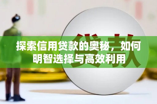 达拉特旗探索信用贷款的奥秘，如何明智选择与高效利用