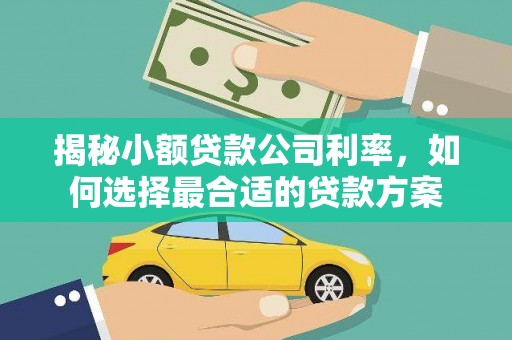 达拉特旗揭秘小额贷款公司利率，如何选择最合适的贷款方案