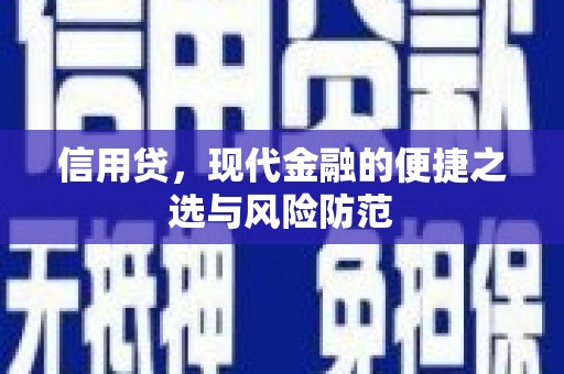 达拉特旗信用贷，现代金融的便捷之选与风险防范