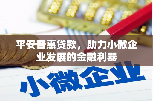 达拉特旗平安普惠贷款，助力小微企业发展的金融利器