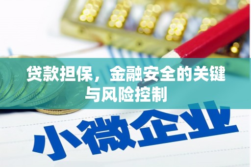 达拉特旗贷款担保，金融安全的关键与风险控制