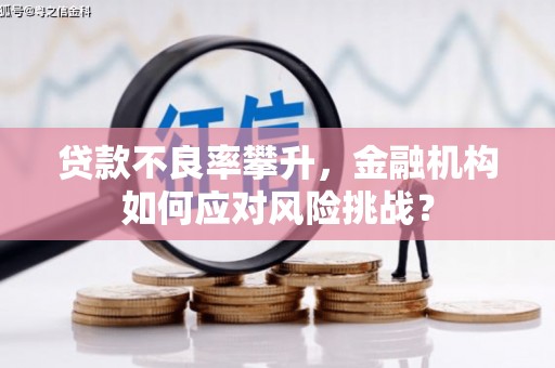 达拉特旗贷款不良率攀升，金融机构如何应对风险挑战？