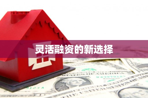 达拉特旗灵活融资的新选择
