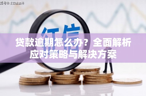 达拉特旗贷款逾期怎么办？全面解析应对策略与解决方案