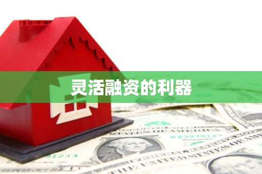 达拉特旗灵活融资的利器