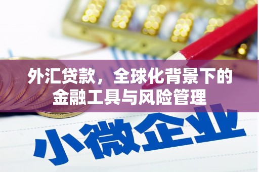 达拉特旗外汇贷款，全球化背景下的金融工具与风险管理