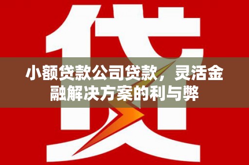 达拉特旗小额贷款公司贷款，灵活金融解决方案的利与弊